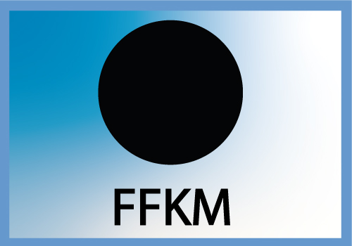 JTOR 123.19x5.33 FFKM75 (428)