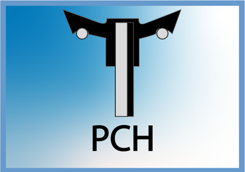 PCOH DIM 100 x 12 x 35 NBR90sh