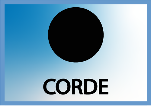 JEST CORD 11.00 FKM70