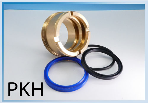 Kit Adapt. PARKER RG2AHL0065