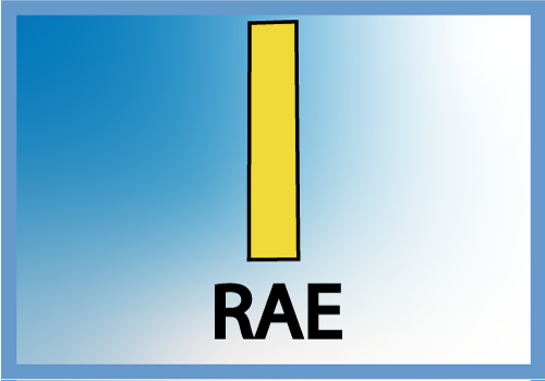 BAEX OR21.89x2.62 S:2.25 TPE55
